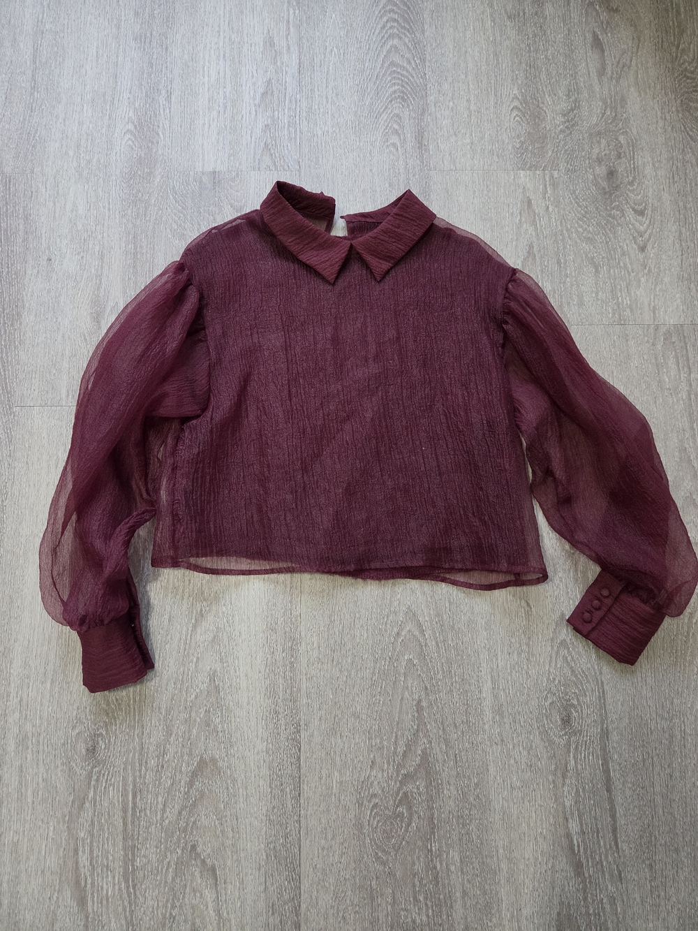 Sheer Burgundy Collared Long-Sleeve Blouse